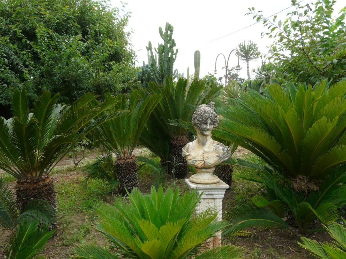Villa Yucca Avola Exterior foto